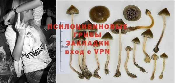 гидропоника Алексин