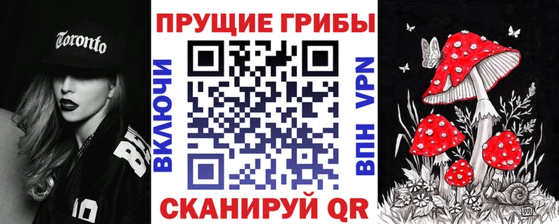 Псилоцибиновые грибы GOLDEN TEACHER  Гуково 